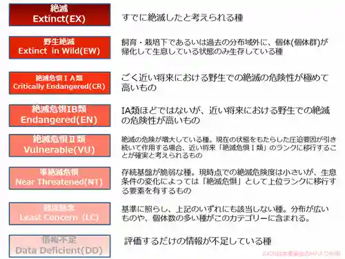 岩井八坂神社(茨城県)