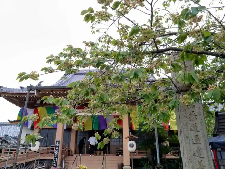 覚照寺(愛知県)