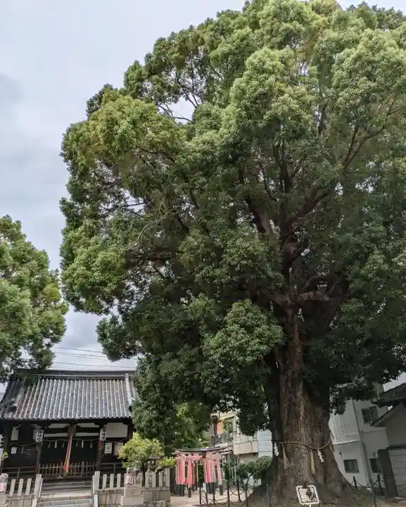 島頭天満宮(大阪府)