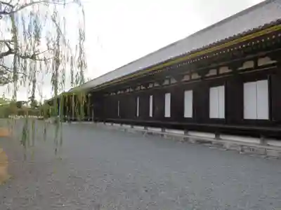 蓮華王院(三十三間堂)の本殿・本堂