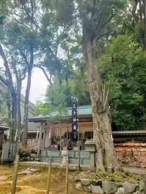 王子神社の本殿・本堂