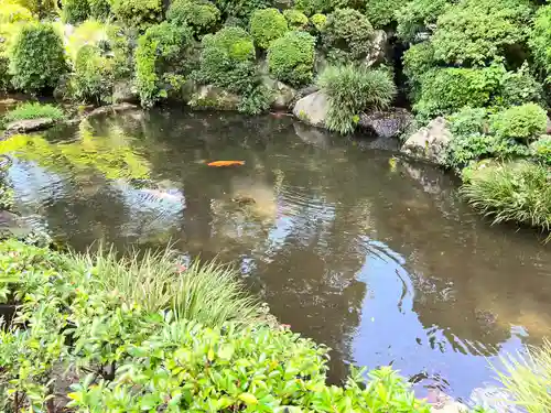 根津神社の庭園