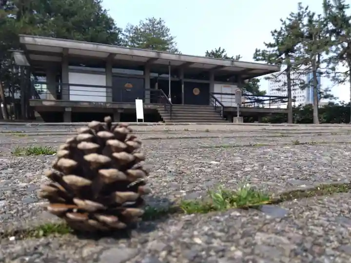 福井神社(福井県)
