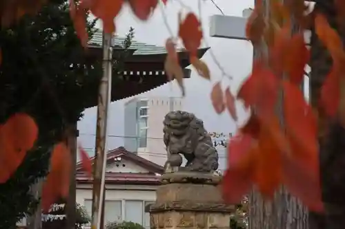 熊野福藏神社の狛犬
