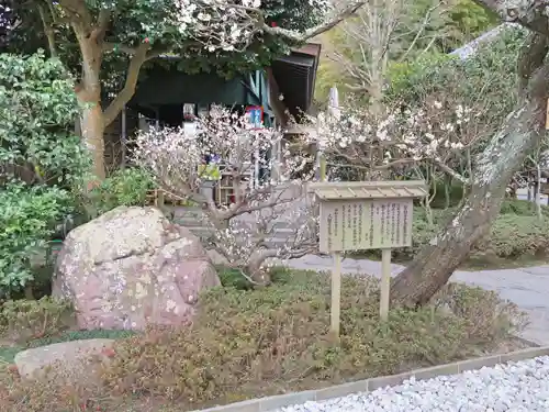 長谷寺の庭園