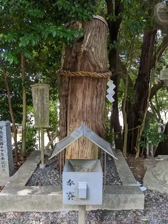 白山神社(二子町)の自然