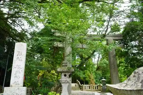 櫻井神社の鳥居