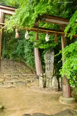 神魂神社の鳥居