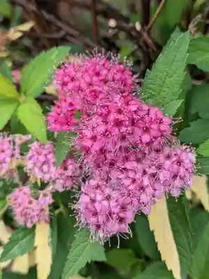 成子天神社(東京都)
