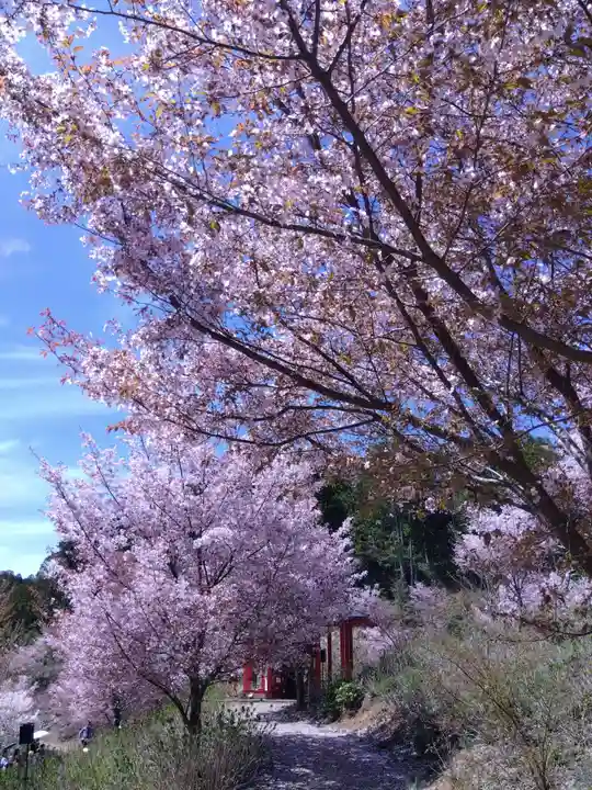 宝泉寺(京都府)