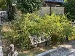 圓光禅寺（円光寺）(愛知県)