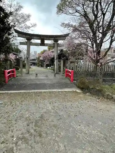 常葉神社の鳥居