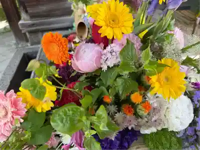 勝林寺(京都府)