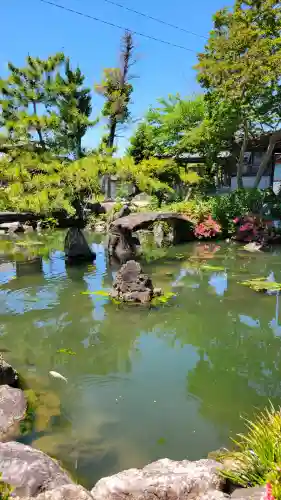 乙津寺　（鏡島弘法）の{uncategorized: "未分類", other: "その他", undefined: "問題あり", building: "その他建物", grave: "お墓", sacred_gate: "鳥居", guardian: "狛犬", statue: "像", buddha: "仏像", history: "歴史", nature: "自然", garden: "庭園", animal: "動物", pagoda: "塔", temizu: "手水舎", mountain_gate: "山門・神門", sanctuary: "本殿・本堂", subordinate: "末社・摂社", art: "芸術", scenery: "景色", jizo: "地蔵", ema: "絵馬", goshuin: "御朱印", omikuji: "おみくじ", items: "授与品その他", amulet: "お守り", goshuincho: "御朱印帳", eats: "食事", festival: "お祭り", votive_dance: "神楽", shichigosan: "七五三参", wedding: "結婚式", experience: "体験その他", initially: "初詣", around: "周辺", anti_infection: "感染症対策"}