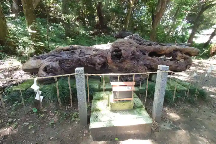 泉神社(茨城県)