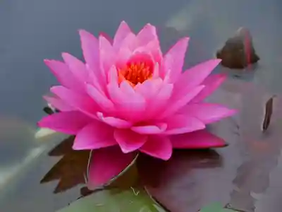 極楽山 浄土寺(北海道)