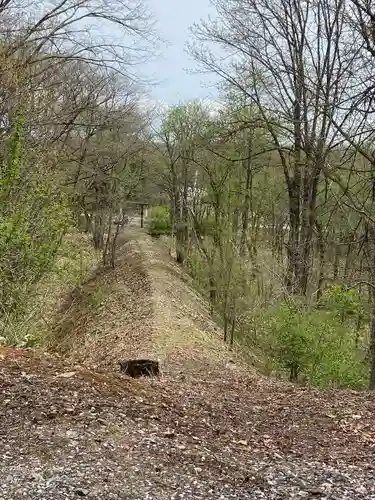 大國神社の自然