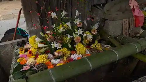 北野天満宮(京都府)