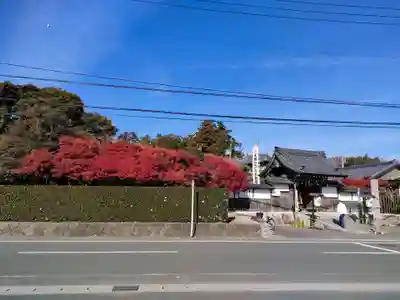 養学院の山門・神門