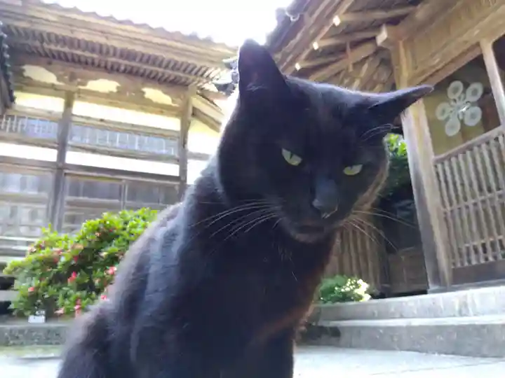 正覚院(石川県)