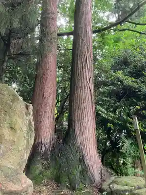 劒神社(福井県)