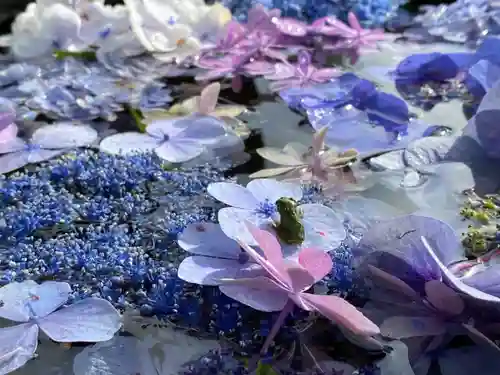 円通寺の手水舎