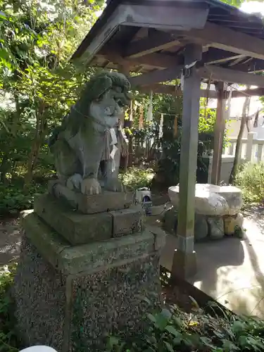 中川熊野神社の狛犬