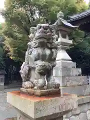 豊川進雄神社の狛犬