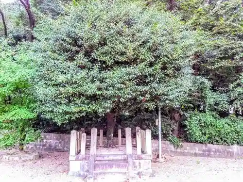 熊野神社（吉川熊野神社）の自然