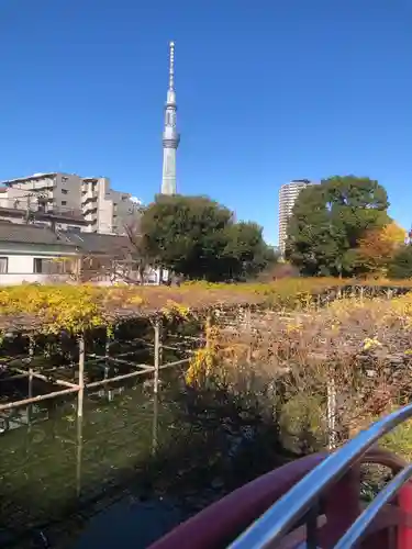 亀戸天神社(東京都)