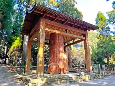 国造神社の自然