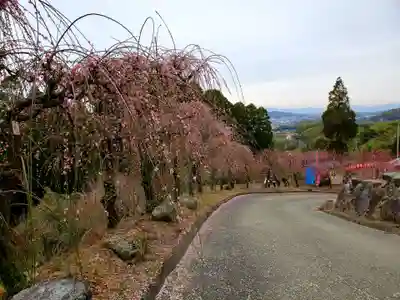 普光寺のその他建物