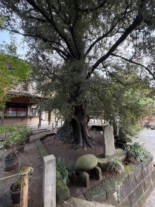 瀬戸神社(神奈川県)