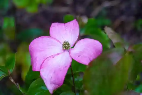 尻岸内八幡神社(北海道)