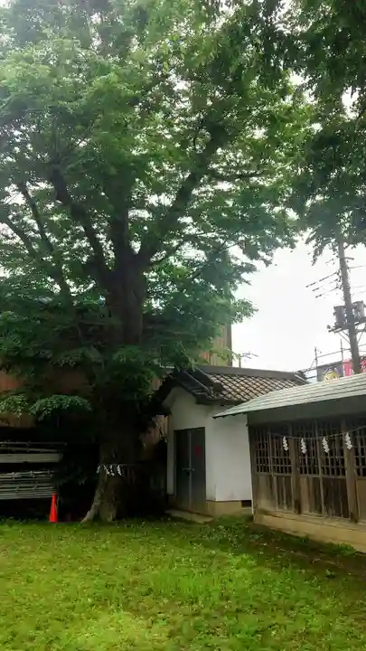 龍ケ崎八坂神社(茨城県)