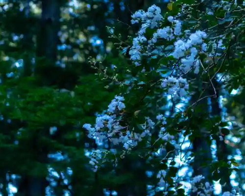 小國神社(静岡県)