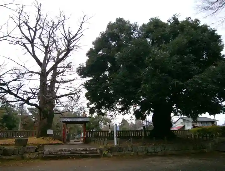 一之宮貫前神社(群馬県)