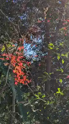 松ヶ崎大黒天 妙圓寺（妙円寺）(京都府)