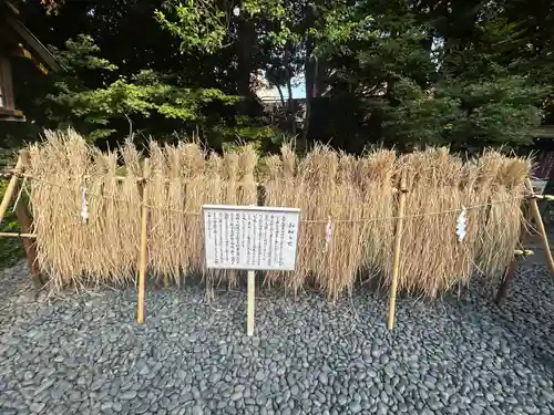 東京大神宮(東京都)