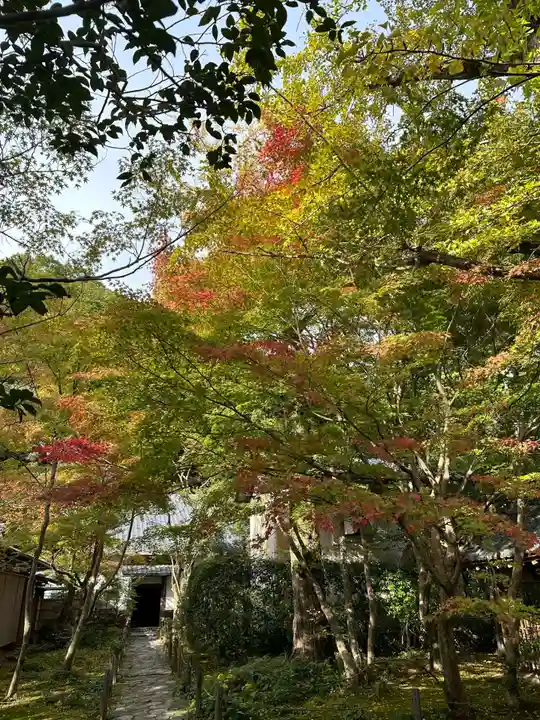 蓮華寺(洛北蓮華寺)(京都府)