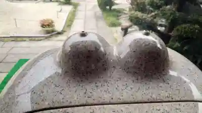 間々観音（龍音寺）(愛知県)