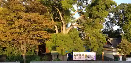 葛西神社の自然
