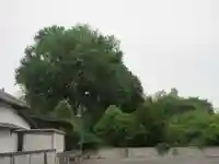 廣福寺(埼玉県)