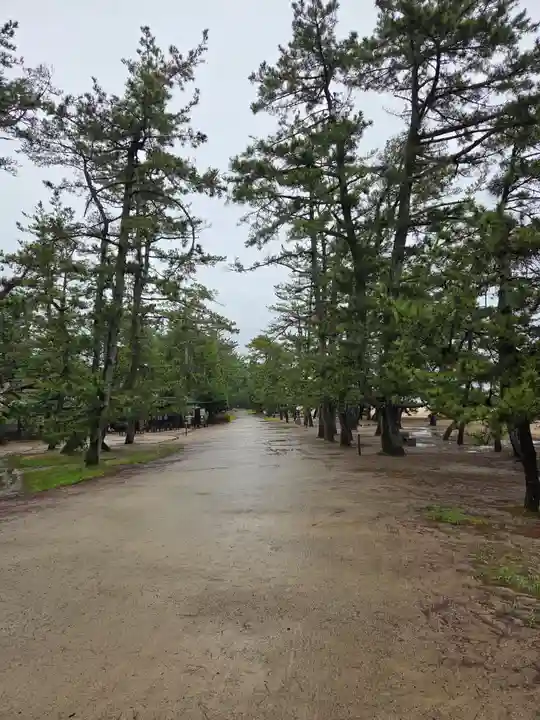 智恩寺(京都府)