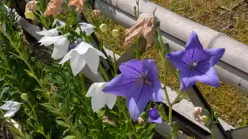  智積院(京都府)