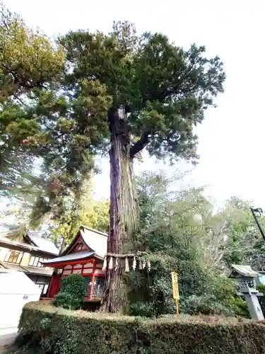 香取神宮(千葉県)