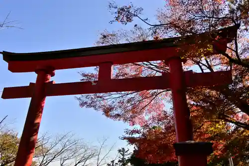 高尾山薬王院の鳥居