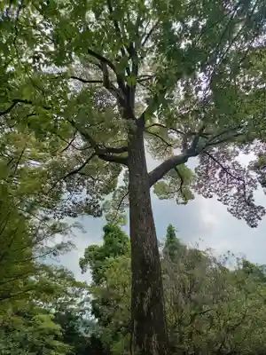 隨心院(随心院)(京都府)