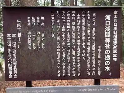 河口浅間神社の歴史