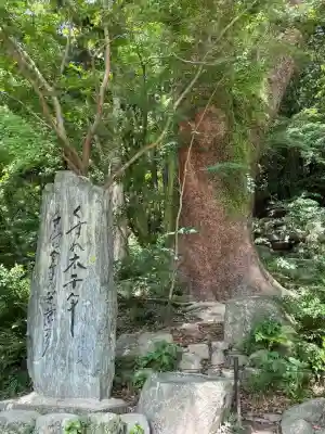 太宰府天満宮(福岡県)